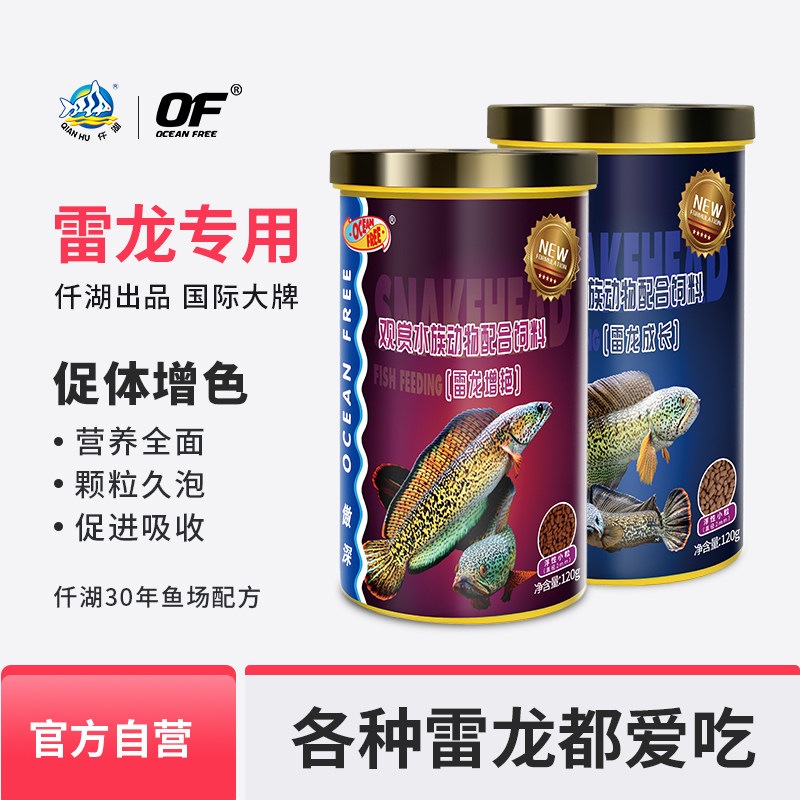 of仟湖观赏鱼黄金眼镜蛇七彩雷龙鱼