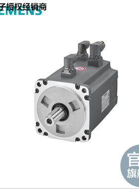 1FL2204-4AF/4AG/01/10/11/00-0HC/1SC/0SC/1HC/1MC/0