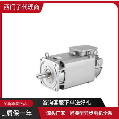 紧凑型异步电机1PH8186-1DB00-1BA1-Z L.76+X01 西门子原装正品