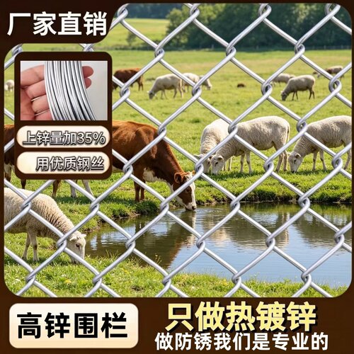 【生锈包赔】高热镀锌钢丝网围栏