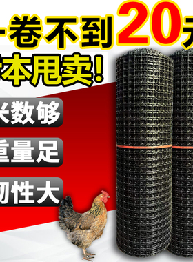 养鸡围栏网塑料网格防护隔离养殖圈地菜园果园玉米大棚防鸟漏粪网