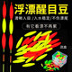 醒目豆夜光豆硅胶超轻加粗漂尾超亮浮漂豆夜钓鱼漂荧光豆钓鱼用品