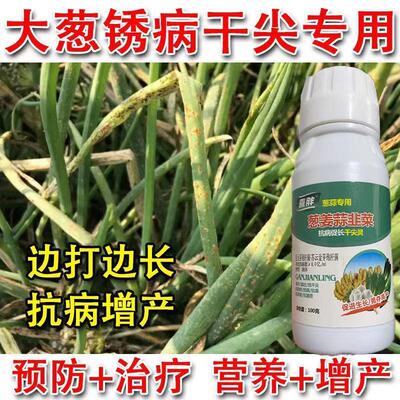 大葱专用杀菌剂叶枯病疫病根腐病霜霉病锈病黑斑病紫斑大葱病全治