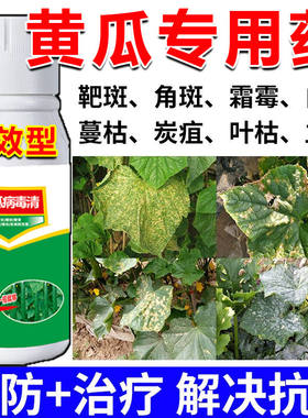 黄瓜专用药靶斑净黄瓜病全治角斑靶斑白粉霜霉灰霉叶枯立枯病全治
