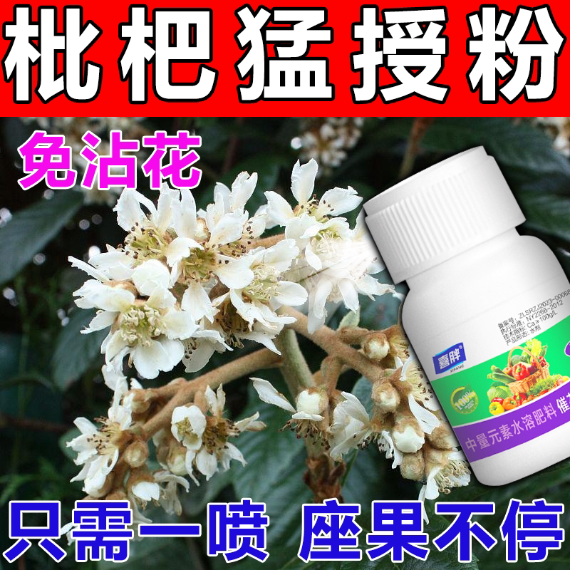 枇杷树授粉座果灵强座果保花保果强授粉催花无需沾花枇杷授粉专用