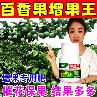 百香果专用增果灵治不开花不结果保花保果防落防畸增产增甜叶面肥