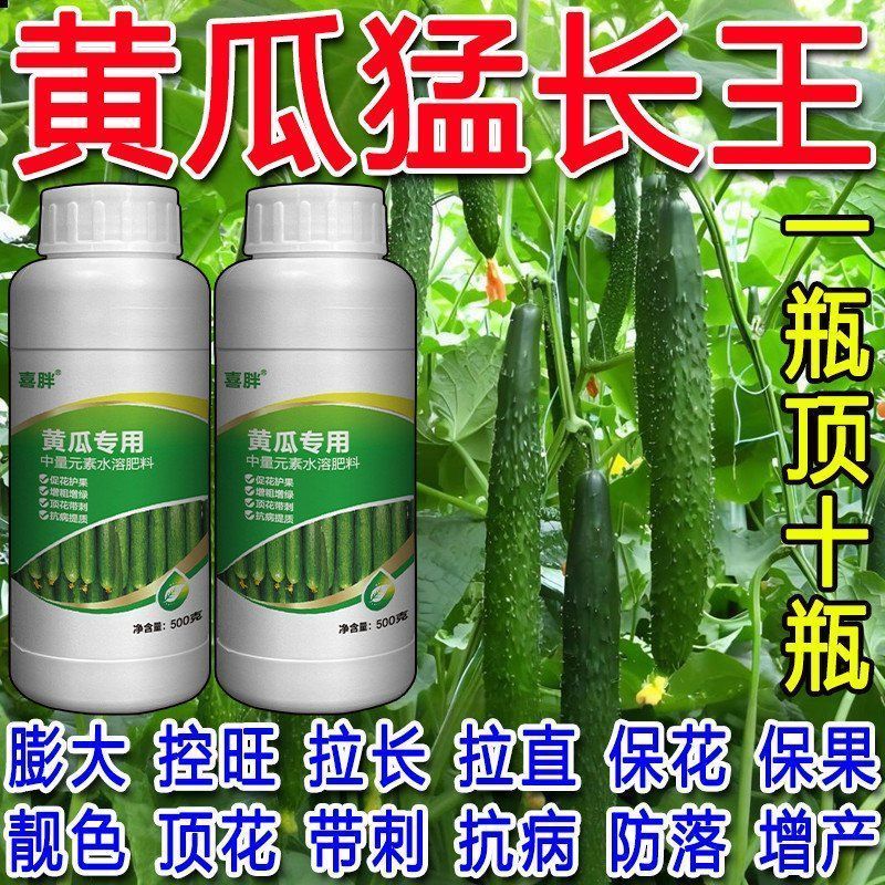 黄瓜专用叶面肥黄瓜顶花带刺顺直嫩长黄瓜拉直拉长素增收高产肥料