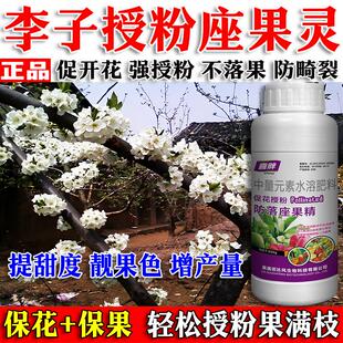 李子授粉座果精味蒂树授粉专用药催花授粉强座果李子树保花保果素