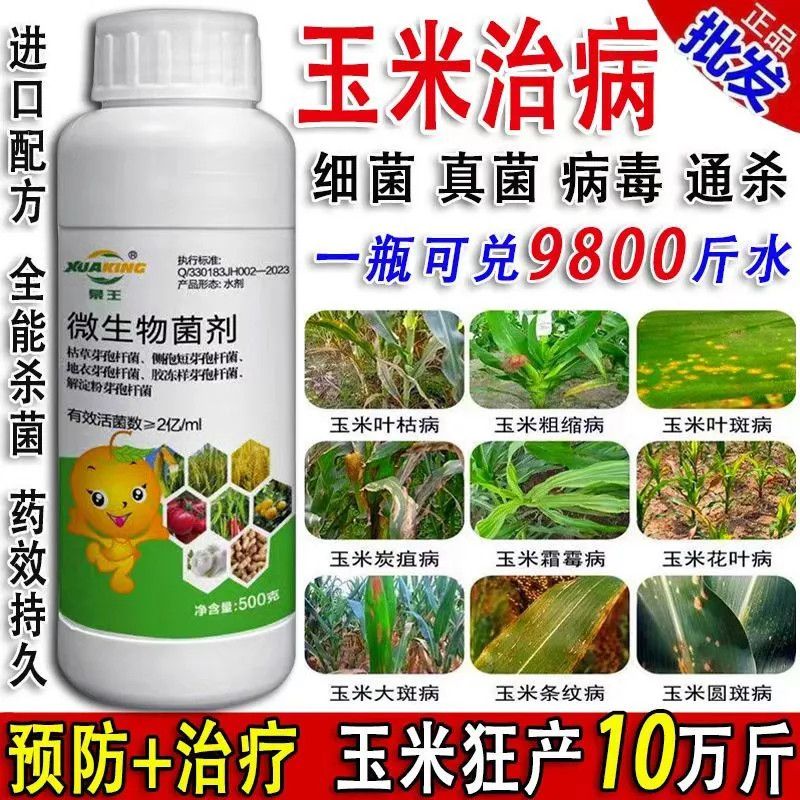 玉米病全治叶斑病黄叶枯萎烂根根腐烂杆锈病全清枯叶焦叶专用药