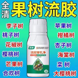 果树桃树流胶病专用剂【流胶一喷净】李树溃疡病腐烂病流胶穿孔净