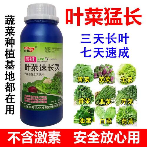 叶菜猛长蔬菜肥料叶绿速长白菜芹菜青菜生菜韭菜香菜大白菜专用药