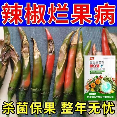 治辣椒病害辣椒专用药炭疽病溃疡病软腐病烂果花皮病防烂特效农药