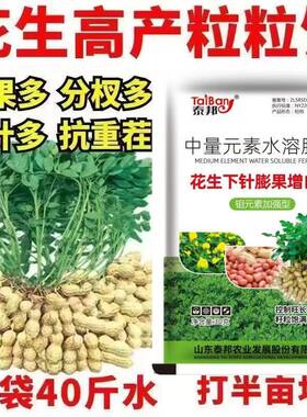花生矮多收花生高产叶面肥控旺膨大花生超生婆抗病防早衰保花保果