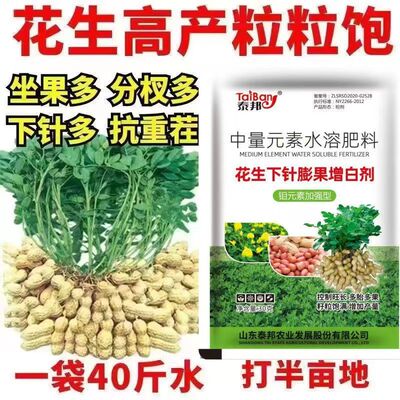 花生矮多收花生高产叶面肥控旺膨大花生超生婆抗病防早衰保花保果