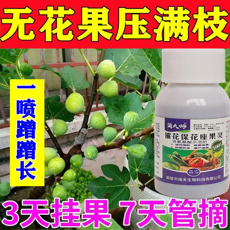 无花果专用肥料花肥有机营养肥催开花结果生根花卉植物新型肥料