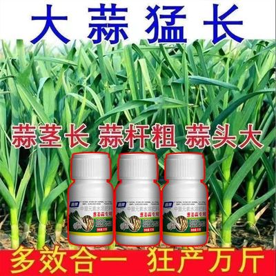 大蒜肥专用肥料底肥追肥颗粒家用种植高产绿叶素促生长果多多肥