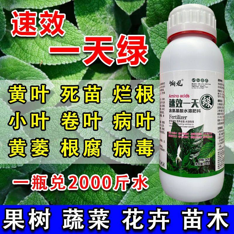 绿叶王速效一天绿花肥黄叶变绿氨基酸水溶肥一夜绿一喷绿叶面肥