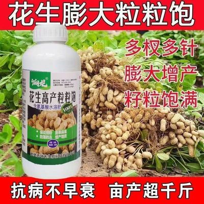 花生膨大粒粒饱正品花生专用膨大剂增高产增收花生粒粒饱快速大果