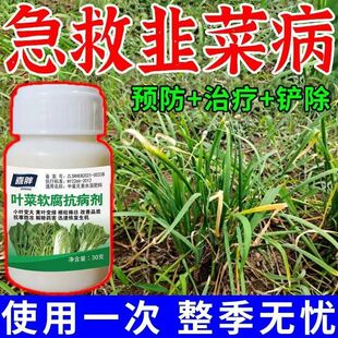 韭菜病全治韭菜专用药灰霉病软腐病烂叶干尖斑点病杀菌剂特效农药