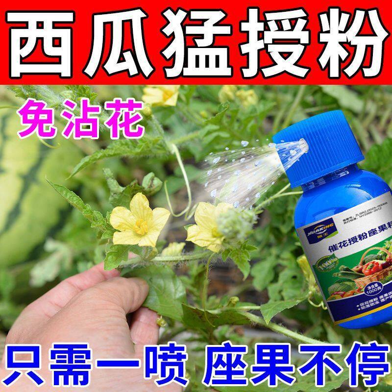 西瓜授粉专用药点花药免沾花授粉坐果精保花保果素防落防畸叶面肥