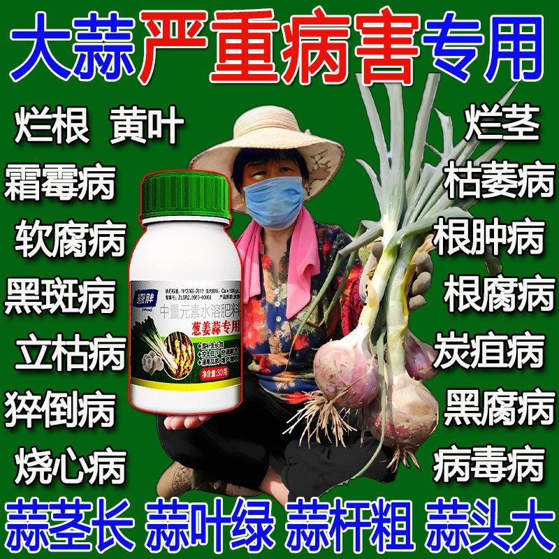 大蒜病全治大蒜专用药根腐病叶枯病菌核病干尖黄叶蒜苗专用杀菌剂