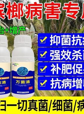 槟榔花穗回枯病槟榔叶子萎蔫干枯脱落专用微生物肥抑制病菌真菌净