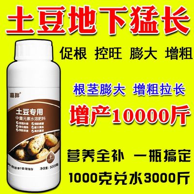 土豆猛长地下根茎膨大素土豆洋葱山药大姜马蹄芋头红薯地下膨大素