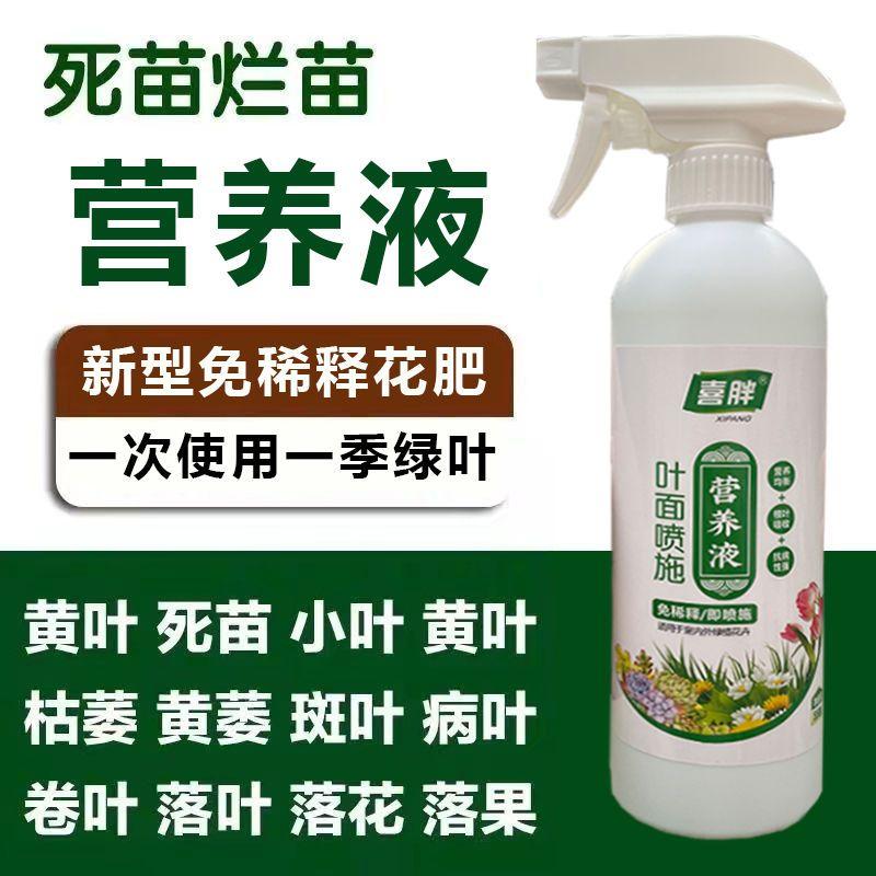 黄叶死苗一喷绿速效型一喷绿生根壮苗绿叶果蔬通用水溶肥正品包邮