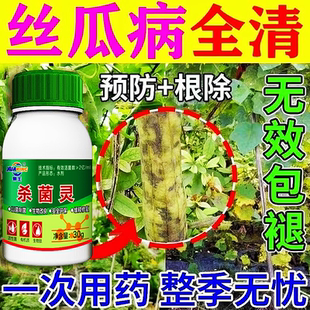 丝瓜病全治丝瓜专用药丝瓜杀菌剂叶面肥丝瓜霜霉褐斑叶枯特效药