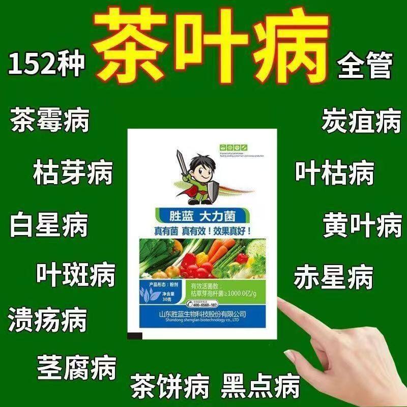 茶树病专用杀菌剂茶树病害清茶饼软腐炭疽叶枯叶霉黑斑茶叶病全治
