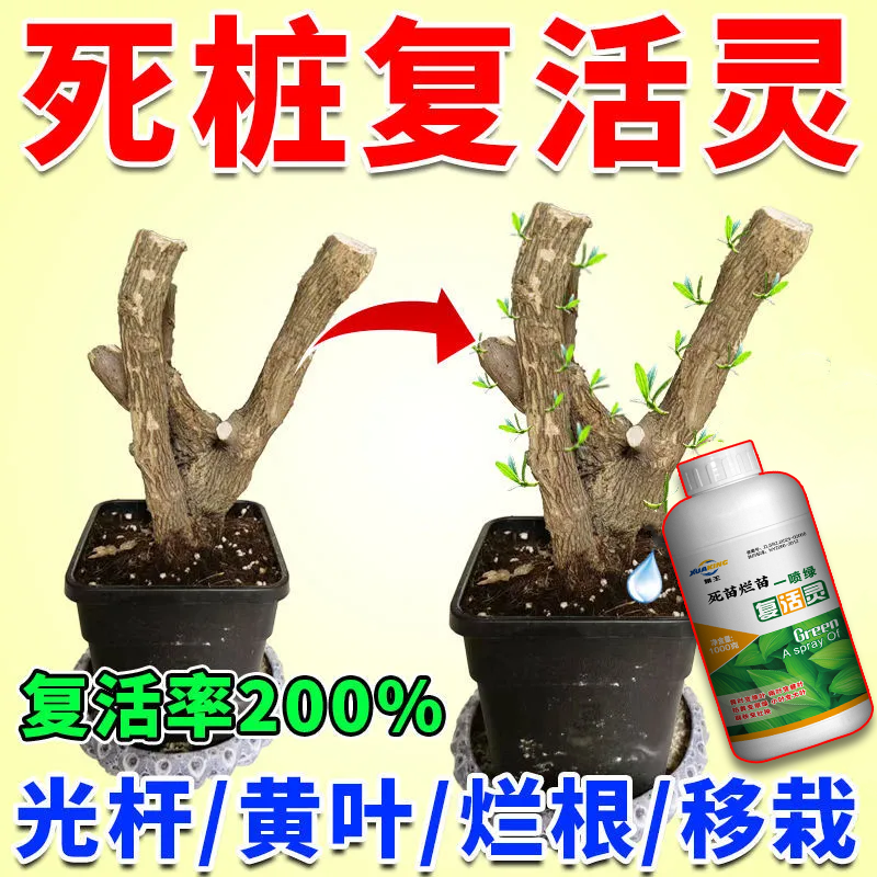 【新芽猛长】老桩催芽剂促芽僵苗快速发新芽防黄叶促花营养复活肥