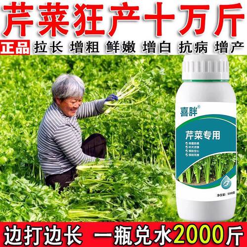 【芹菜猛长素】芹菜专用速长剂芹菜生长素猛长提苗暴长营养液肥料