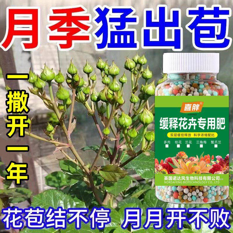 【芽苞猛窜】月季花营养液催花肥促发芽防黄叶盆栽月季玫瑰专用肥