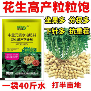 花生分杈下针剂多下针花多增白膨果花生高产增产窝窝多必用叶面肥