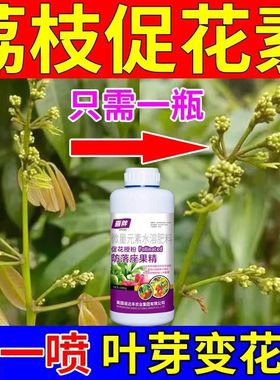 荔枝催花素】荔枝专用细胞分裂素打破休眠花芽分化促花素保花保果