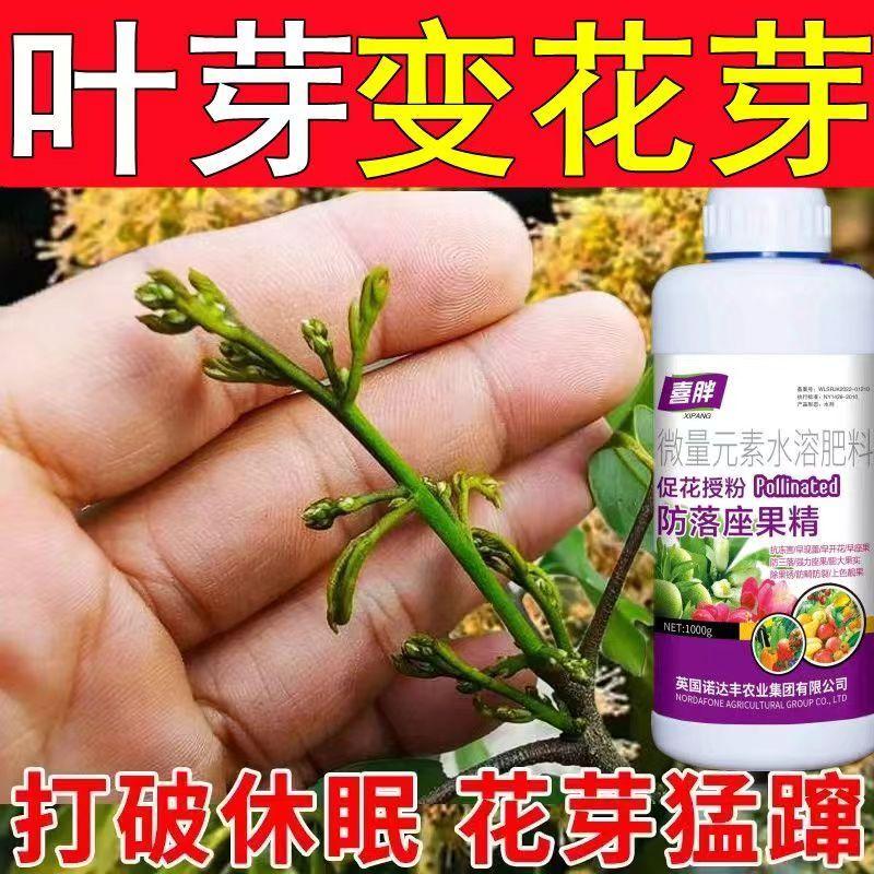 花芽分化素催花保果控梢控旺药果树花芽素促进细胞分裂叶面肥
