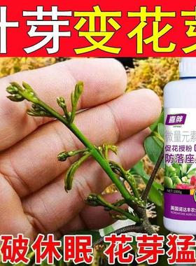 花芽分化素催花保果控梢控旺药果树花芽素促进细胞分裂叶面肥