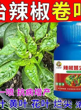 辣椒死苗烂根复活灵辣椒黄叶卷叶烂尖落花落果根腐急救辣椒专用肥