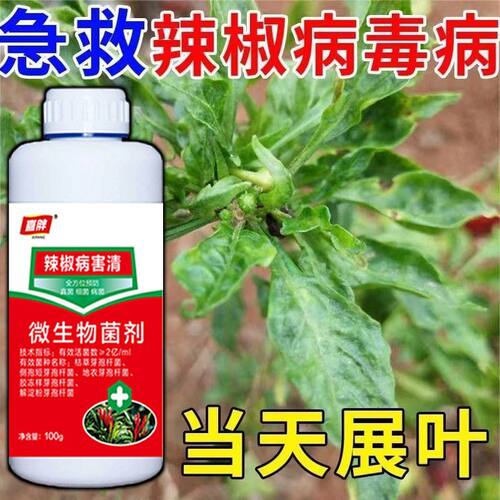 辣椒病全治辣椒病专用药辣椒病毒病卷叶病黄叶炭疽疫病辣椒杀菌剂