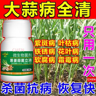 大蒜黄叶烂根干尖病全治葱姜蒜通用大蒜根腐紫斑病锈病专用杀菌剂