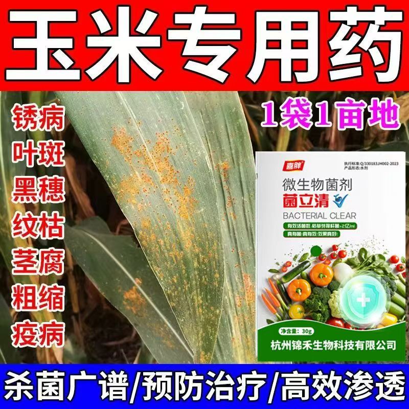 玉米病全治叶斑病黄叶枯萎烂根根腐烂杆锈病全清枯叶焦叶专用药