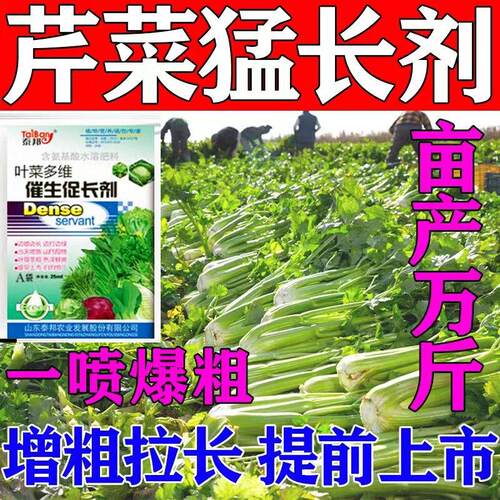 叶菜叶面肥生长素蔬菜速长剂