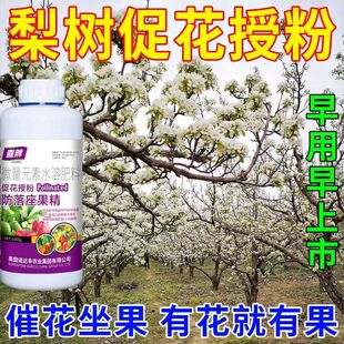梨树授粉药沾花药梨树授粉座果精防落保花保果强制座果蜜蜂授粉药