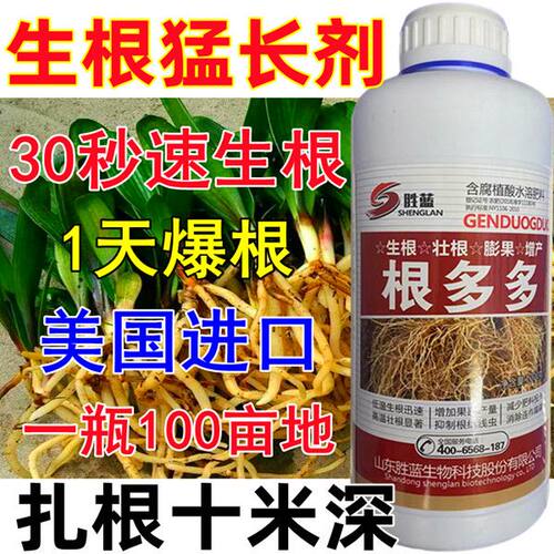 进口生根粉生根壮苗剂快速生根液大树移植苗木扦插水稻果树生根液