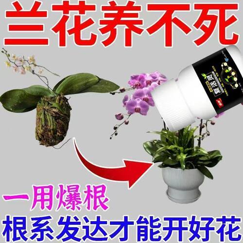 兰花烂根】根腐茎腐烂根专用根腐回春空根沤根土壤杀菌生根根腐灵