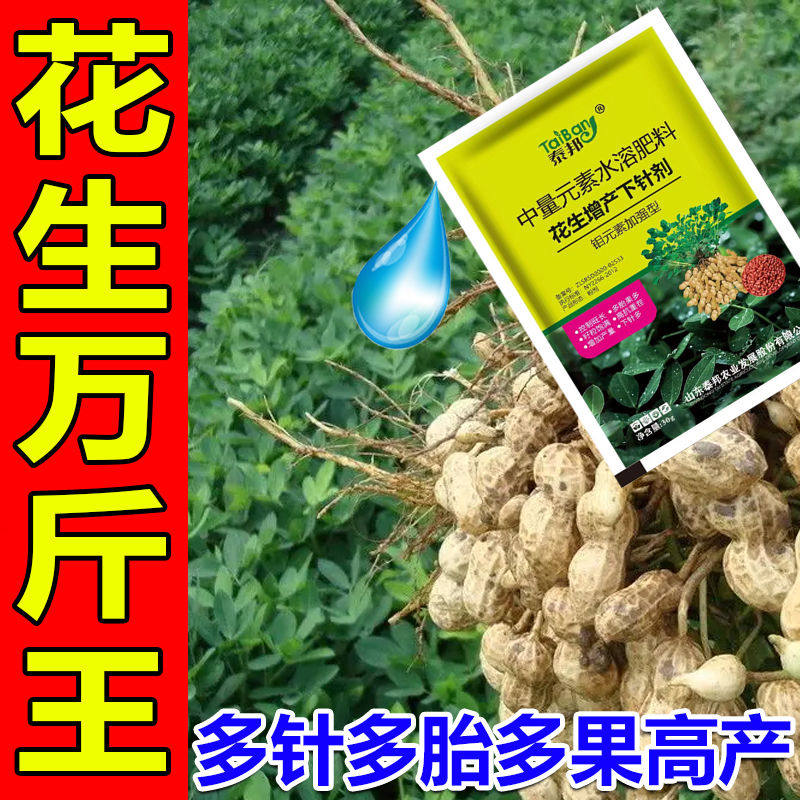花生分杈下针剂窝窝多花生高产必用开花多下针多粒粒饱抗病增产