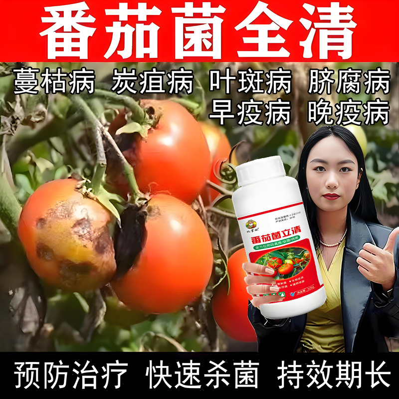 番茄病全治杀菌剂番茄白粉病早晚疫病灰霉病霜霉病西红柿专用药