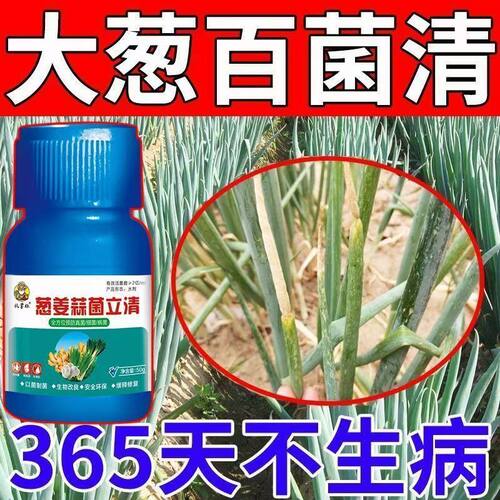 大葱黄叶烂根干尖病全治葱姜蒜通用大蒜根腐紫斑病锈病专用杀菌剂