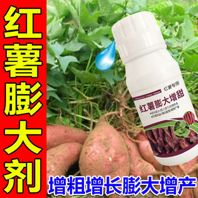 红薯专用膨大素红薯专用药控旺增产防裂抗病红薯叶面肥膨大素正品