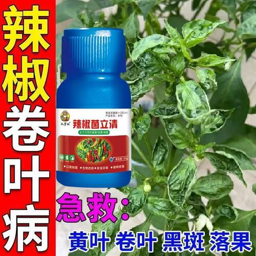 辣椒病专用药辣椒病全治辣椒病毒病卷叶病黄叶炭疽疫病辣椒杀菌剂